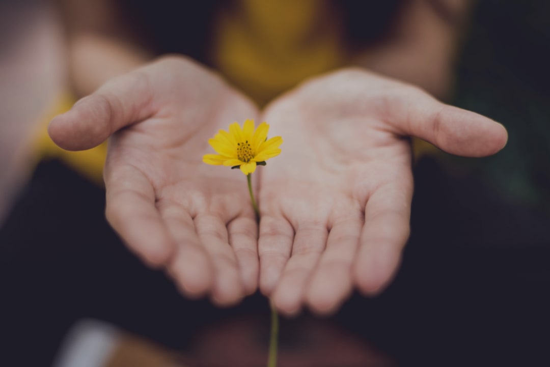 mani con fiore prodotti naturali